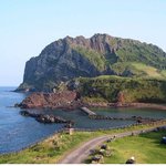 <제주도를 제 7대자연경관으로 vote <b>for</b> jeju>