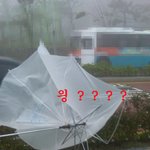 ♨♨♨♨♨♨ 우리학교 오실래요 ? ♨♨♨♨♨♨ 2탄