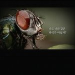 [펌] 지식<b>채널</b><b>e</b> - 생존기계