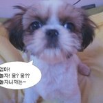아가 키우는 <b>재미</b>~