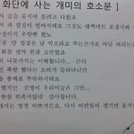 <b>화단</b>에 사는 개미의 호소문