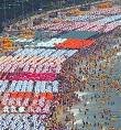 ★☆★부산의 힘을 보여줍시다☆★☆