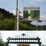 (사진有) 흔녀 둘의 3박 4일동안 전국 여행_2 (담양편)
