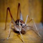 인증 그게 <b>대수</b>냐?