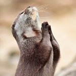 <b>달력</b>을 본 10대의 반응