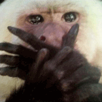 화장빨에 사진빨에 <b>포샵</b>빨 주제에!!