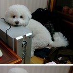 ★ 걍 짤방 <b>방출</b> ★(스압주의)