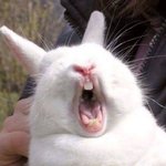 [실화] 도깨비 집터에서 살았던 우리 패밀리 1-2