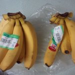 ***몰에서 <b>구입</b>한 바나나입니다.