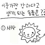 이중 가장 강하다고 생각되는 <b>동물</b>은??