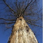 진실은 알고 갑시다 !