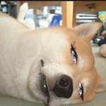 너무하네 진짜 아침부터 맘상하게