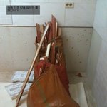 판단 좀 해주세요 -1