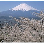 잠자는 <b>후지산</b>이여~ 이제 그만 일어나요~