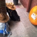 서울역에서 부산역까지 도보여행 직선거리 400km 성공~><