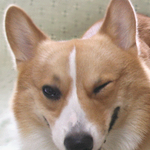 ★☆★☆재미돋는 이야기★☆★☆