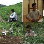 감자총각 <b>블로그</b>까지 테러 “<b>블로그</b> 테러는 도가 지나치다” 비난여론