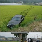 <b>김여사</b> 길이 없었던거였냥?