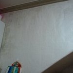 곰팡이 먹고 삽니다 .31개월 <b>딸</b>은 어쩌라는겁니까...