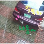 ☆(사진첨부) 매일매일 집 <b>앞</b>으로 찾아오는 길냥이 어떡하죠? ㅠㅠ