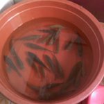 바로 어! 장! 관! 리! 이런 <b>대야</b> 보셨음?!!!!!(사진이씀)