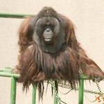 76년생 이지현판사는 퇴임하고 날 고소해라 !