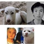 ★★★<b>동물</b>(등등)닮은꼴연예인★★★