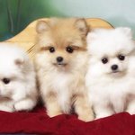 ☆좀아까 지하철에서 있었던 일이에요....ㅠㅠ