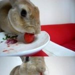 ※※※이중인격!! 두 모습의 <b>내동생</b>※※※