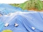 나 어릴때 죽을뻔함