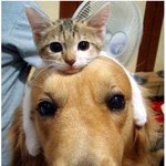 <b>오오</b> 뱅갈분ㅋㅋㅋㅋㅋㅋㅋㅋㅋㅋㅋㅋㅋㅋㅋㅋㅋㅋ