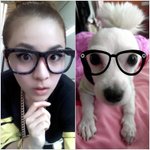 ★☆★☆<b>연옌</b>닮은 우리집개 소개소개소개소개하겟쑴
