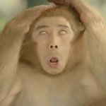 아 조카