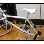 눈앞에서 자전거 강탈 당함. -_- 이 개<b>객기</b>들아 그러니 좋냐