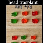 곰돌이젤리의식(<b>x</b>)이식....ㅋㅋㅋㅋㅋㅋㅋ나만빵<b>터짐</b>?