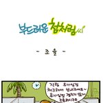 [부드러운 첨처럼씨] 조율