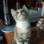 올만에 <b>뿌림</b>..-ㅅ-;
