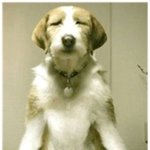 에어컨,침대,곰돌이.아이패드와 함께하는 <b>방콕</b>바캉스^^