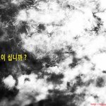 ★나는★ 현대판 마루타 였는가?사진,동영상