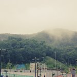 [전라도 보성, 담양]  20살의 1박 2일 여행기--  (스압)