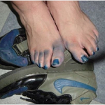 [펌]대륙시리즈