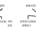 ★★(그림有)시트콤인생 쌍둥이네 집★★