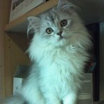 [2탄도 사진多] ♡나의 사랑하는 <b>동거남</b>이야기♡먼지가 돌아왔어용^...