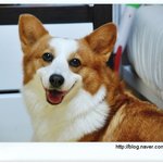 너무 억울하고 분합니다. 서명 좀 도와주세요.