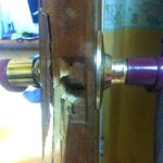 술만먹으면 개가되는 남동생...어떡하죠...