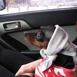 그 덩은 우리코코 <b>덩이</b> 아니란 말이예요..ㅜ.ㅜ