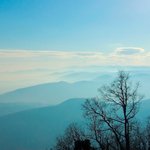 사회복지사 - 사회복지사 자격증 종류에 대하여 알아 보는 시간