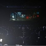 보자마자 짜증은나는데 뭐라고 <b>말</b>은못하는<b>사진</b>....