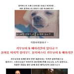 1<b>인자</b>만 모였다 ! 2011년 여름 초특급 프로젝트!!