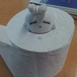 ★★엽기토끼의 <b>실체</b>★★